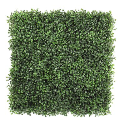Envywall Boxwood